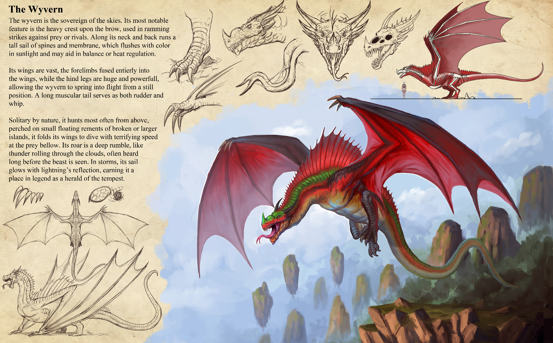 The Wyvern — sovereign of the skies, bestiary illustration